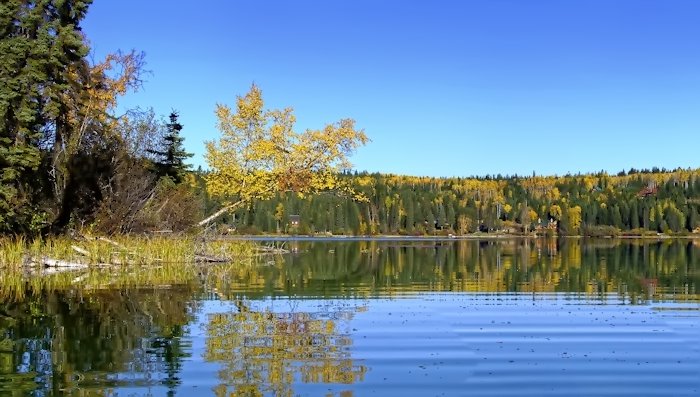 Fall colours in Paradise Bay	
